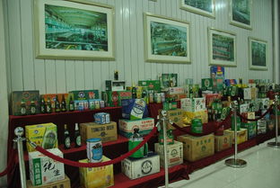 走進(jìn)百年酒香 青島啤酒廠(chǎng)的歷史與工藝探秘